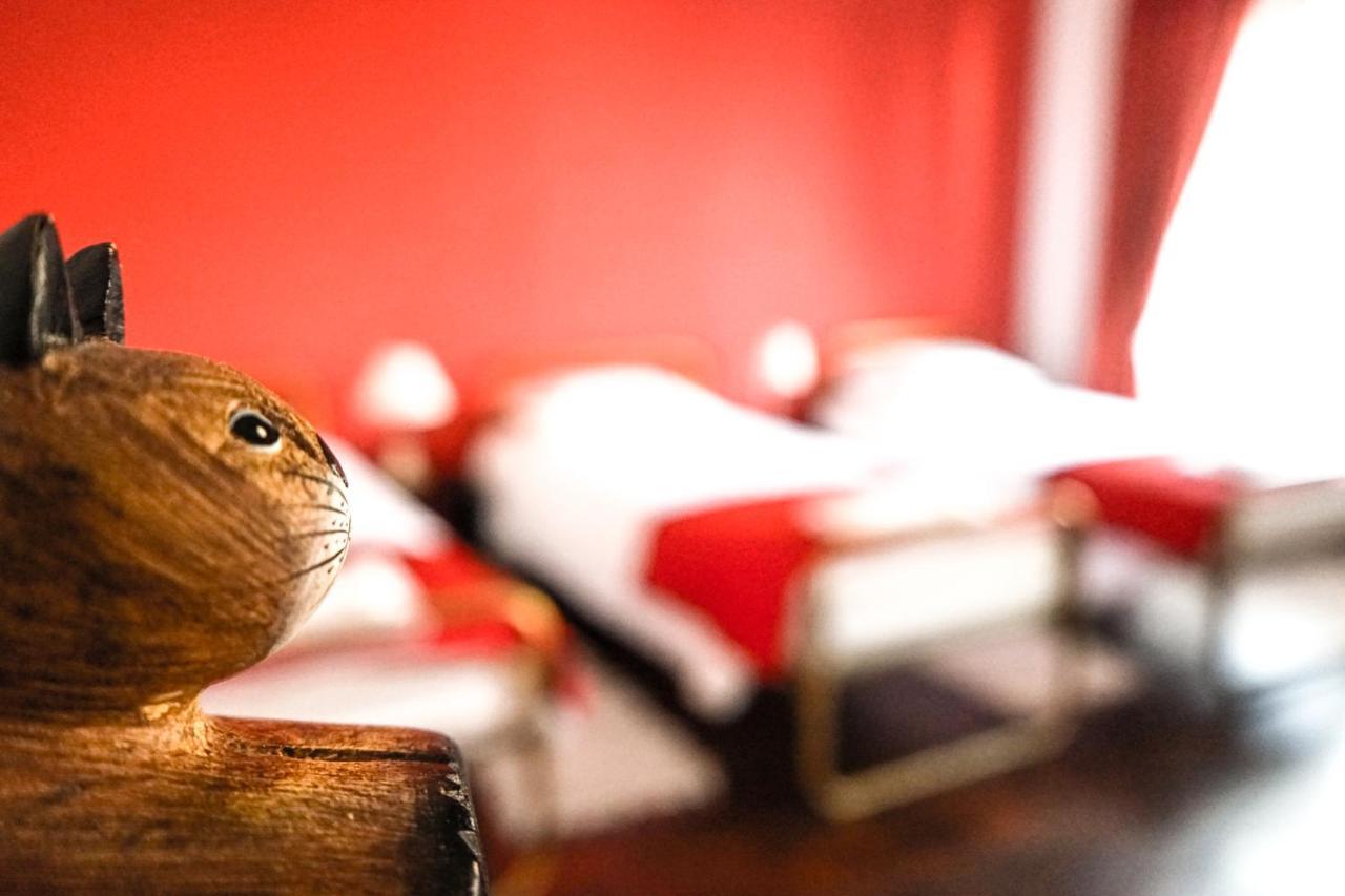 Azores Dream Hostel Ponta Delgada 객실 사진