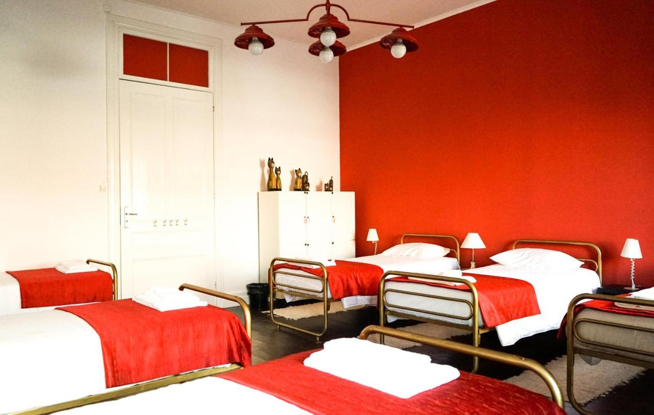 Azores Dream Hostel Ponta Delgada 객실 사진